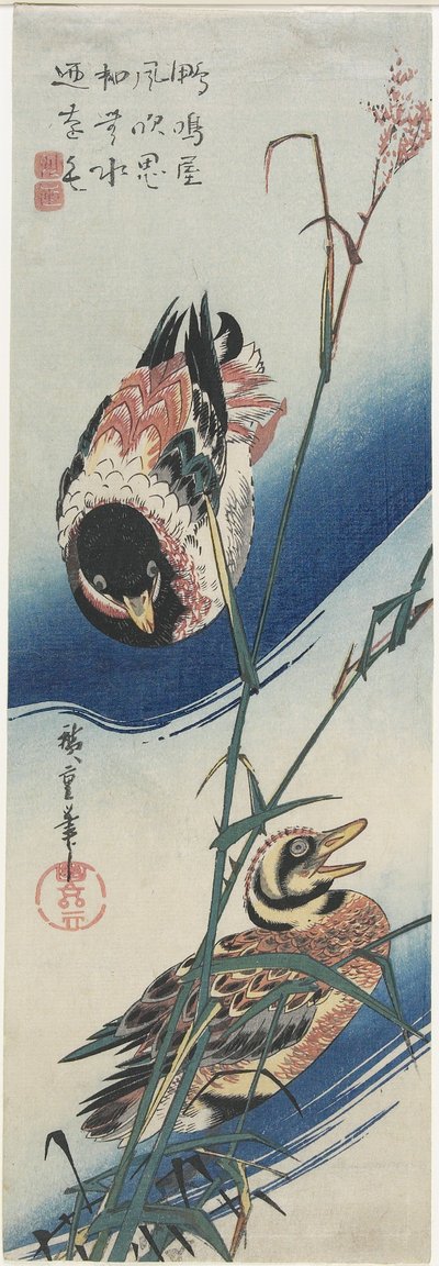 Kachny a rákosí, 1834-1839 od Utagawa Hiroshige