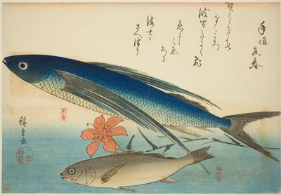 Létající ryba a Ichimochi, z nepojmenované série ryb od Utagawa Hiroshige