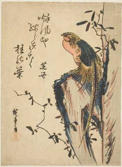 Zlatý bažant od Utagawa Hiroshige