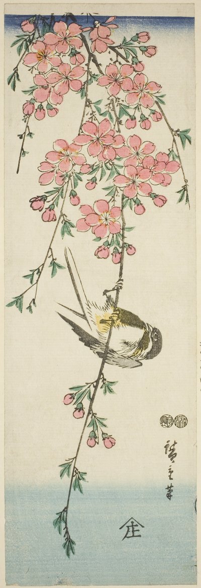 Sýkora koňadra a třešňové květy od Utagawa Hiroshige
