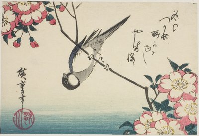 Sýkora koňadra na větvi třešňového květu od Utagawa Hiroshige