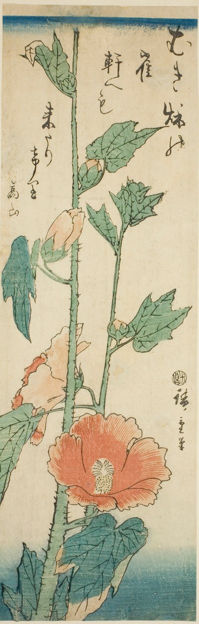 Ibišek od Utagawa Hiroshige