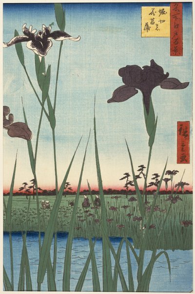 Horikiri Iris Garden (Horikiri no hanashōbu), ze série Sto slavných pohledů na Edo (Meisho Edo hyakkei) od Utagawa Hiroshige