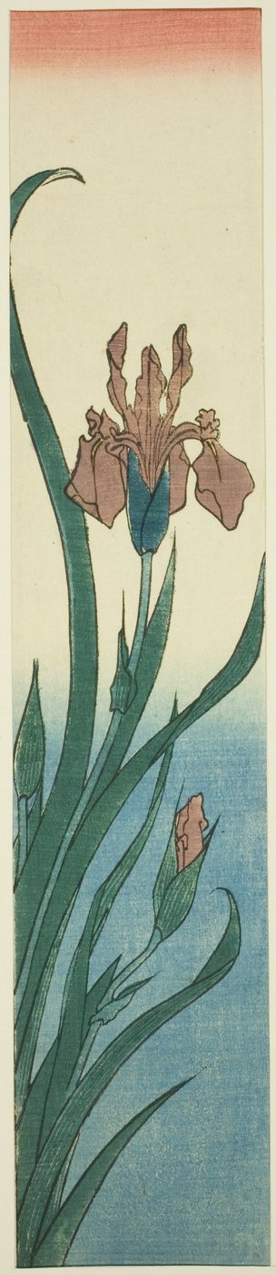 Duhovka od Utagawa Hiroshige