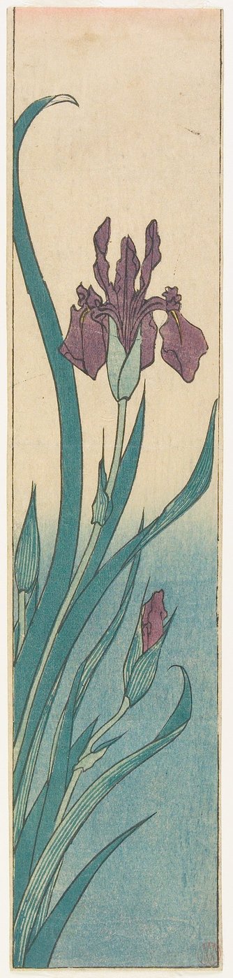 Iris od Utagawa Hiroshige