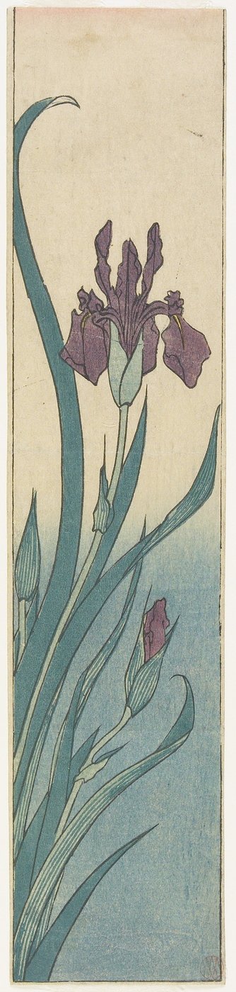 Iris, počátek 19. století od Utagawa Hiroshige