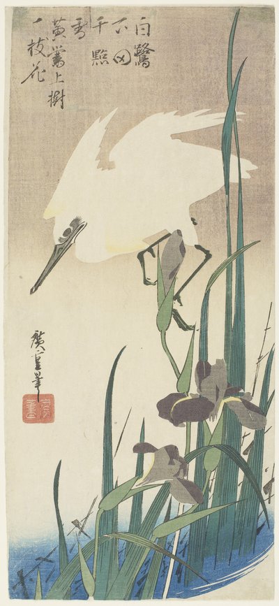 Kosatce a volavka, 1832-1834 od Utagawa Hiroshige