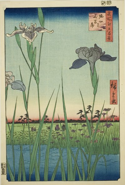 Irase s at Horikiri (Horikiri no Hanadokorobe), ze série s ``Ridge d re d f s Views of Edo (Sto slavných pohledů na Edo)
