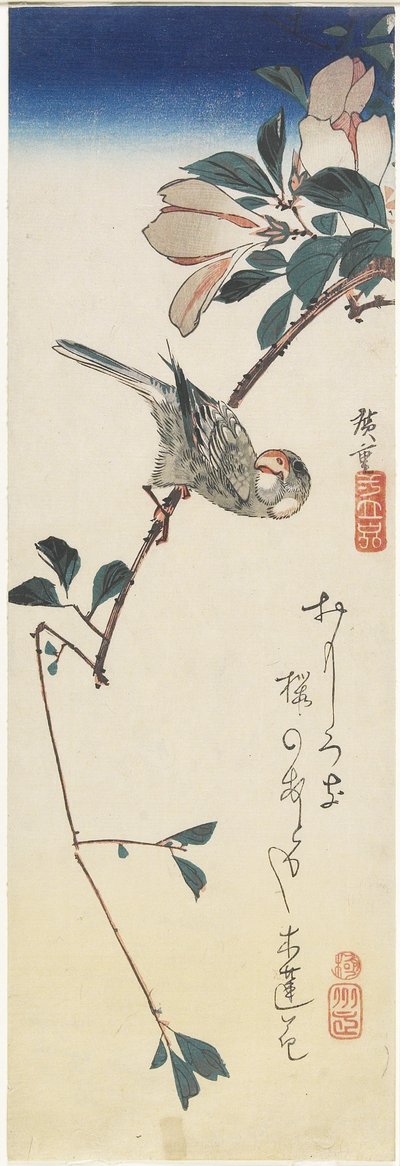 Jávský vrabec a magnólie, 1834-1839 od Utagawa Hiroshige
