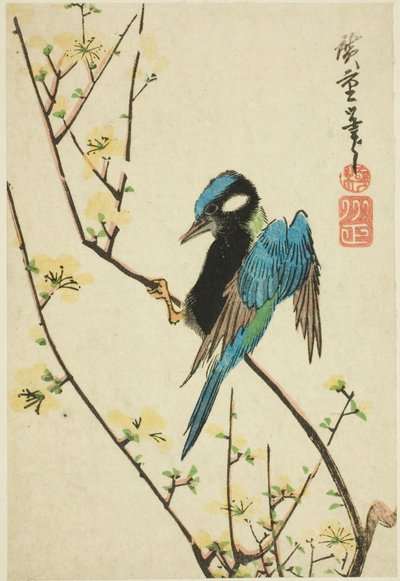 Java vrabec na třešňové větvi od Utagawa Hiroshige