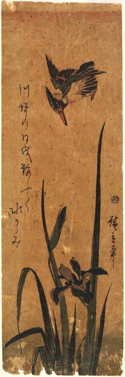 Eisvogel und Iris od Utagawa Hiroshige