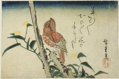 Ledňáček říční a denivka od Utagawa Hiroshige