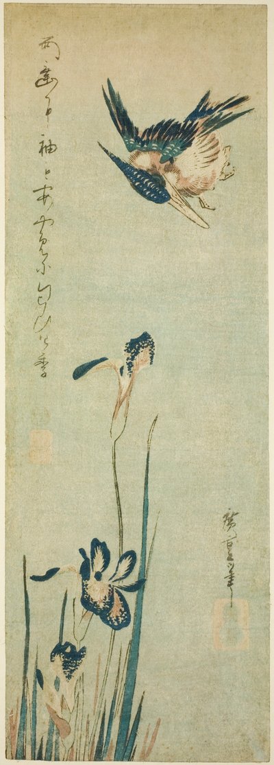 Ledňáček říční a kosatec od Utagawa Hiroshige