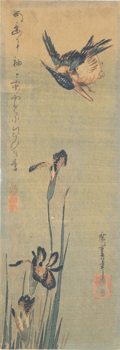 Ledňáček říční letící nad Iris od Utagawa Hiroshige