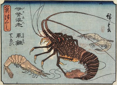 Humři, krevety a garnáti, 1830-1844 od Utagawa Hiroshige