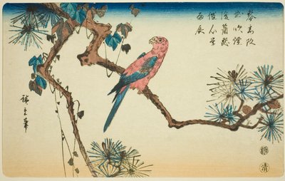 Ara na větvi borovice od Utagawa Hiroshige