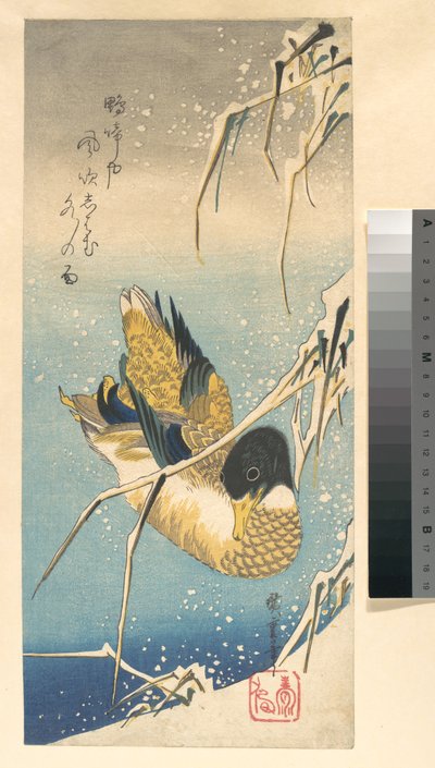 Stockente und schneebedeckte Schilfrohre od Utagawa Hiroshige