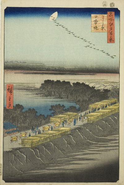 Japonská obrázková verze k povrchu t, Yoshiwara (Yoshiwara Nihon Tsutsumi), ze série "Hřeben pro hřebeny pohledy na Edo (Sto slavných pohledů na Edo)" od Utagawa Hiroshige