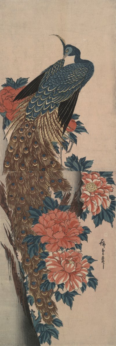 Páv a pivoňky od Utagawa Hiroshige