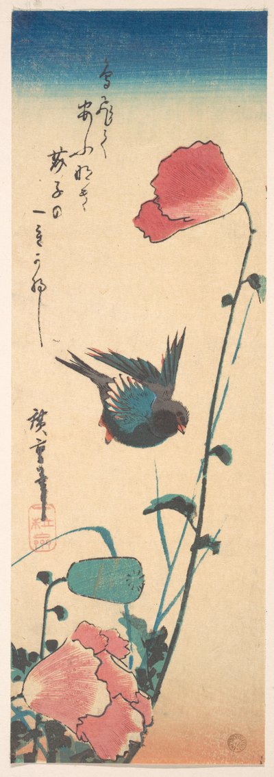 Mohn und Spatz od Utagawa Hiroshige