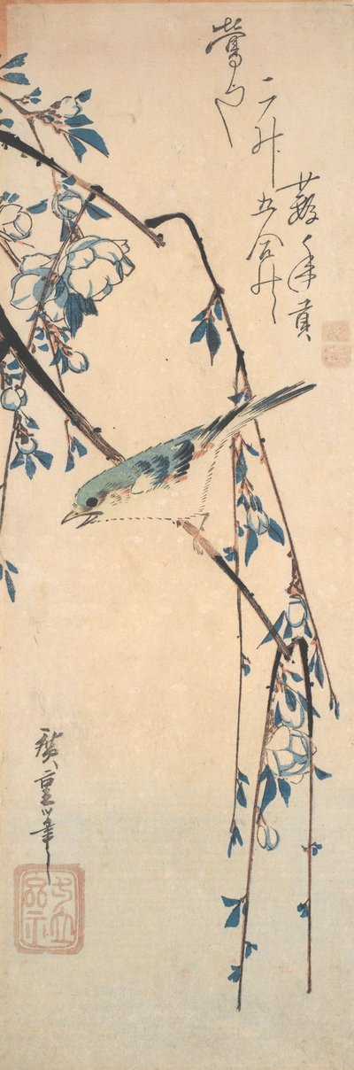 Blue-flaked Bluetail na třešňové větvi od Utagawa Hiroshige