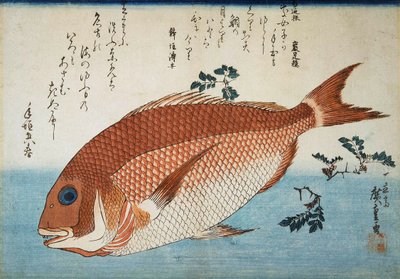 Pražma rudá, 1832-1834. od Utagawa Hiroshige