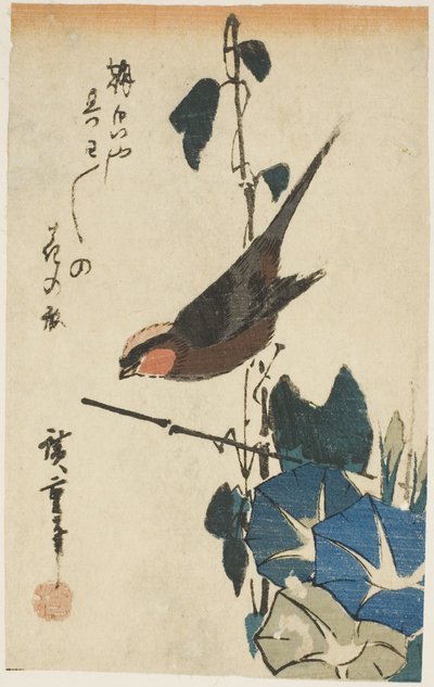 Vrabec a ranní slávy od Utagawa Hiroshige