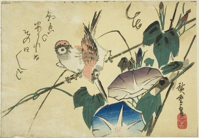 Vrabci a ranní slávy od Utagawa Hiroshige