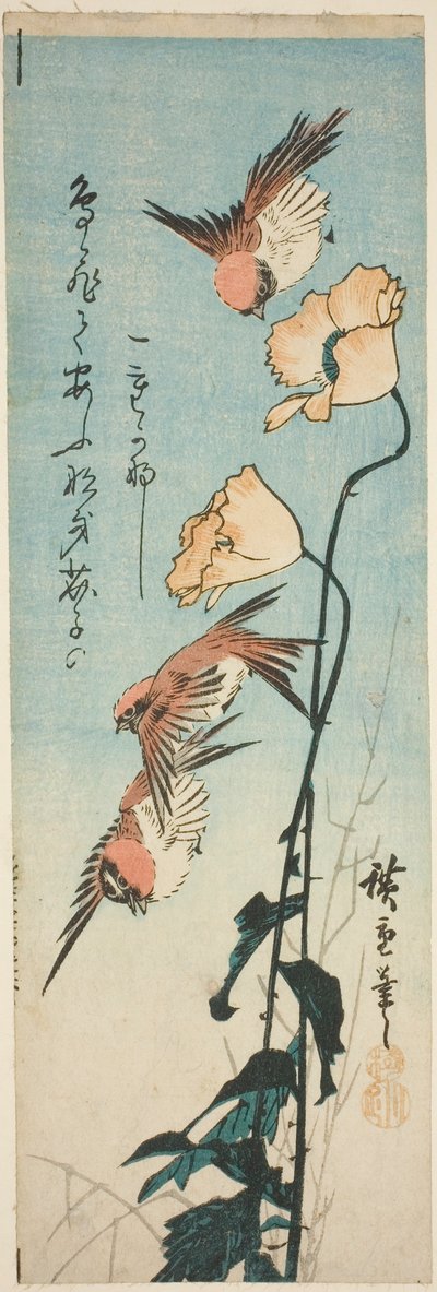 Vrabci a máky od Utagawa Hiroshige