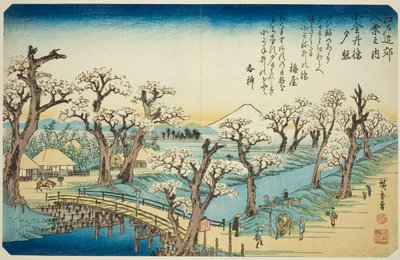 Živě na Koganei Bridge (Koganei-bashi Sekisho), z Te Series od Utagawa Hiroshige