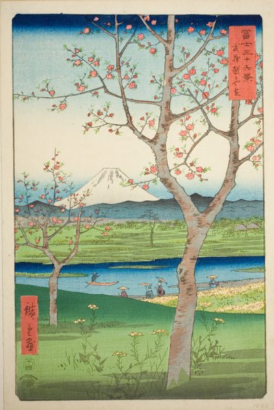 Předměstí Koshigaya v provincii Musashi (Musashi Koshigaya zai), ze série „Třicet šest pohledů na horu Fuji (Fuji sanjurokkei)“ od Utagawa Hiroshige