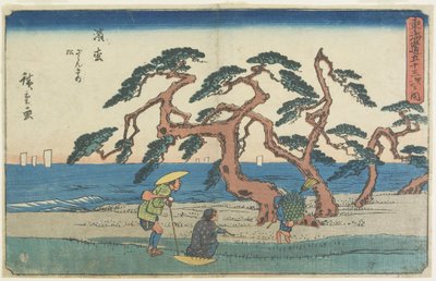 Borové pole v Hamamatsu, 1841-1842 od Utagawa Hiroshige