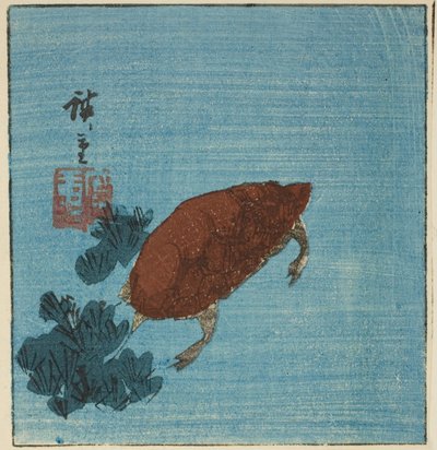 Želva od Utagawa Hiroshige