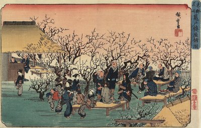 Pohled na Plum Garden v Kameido, 1832-1834 od Utagawa Hiroshige