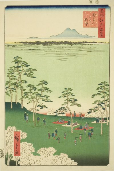Pohled z Asuka pull (Asukayama se trochu nosí), ze série „Hřeben pro hřebeny pohledy na Edo (Sto slavných pohledů na Edo)“ od Utagawa Hiroshige