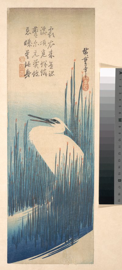 Weißer Reiher zwischen Schilf od Utagawa Hiroshige