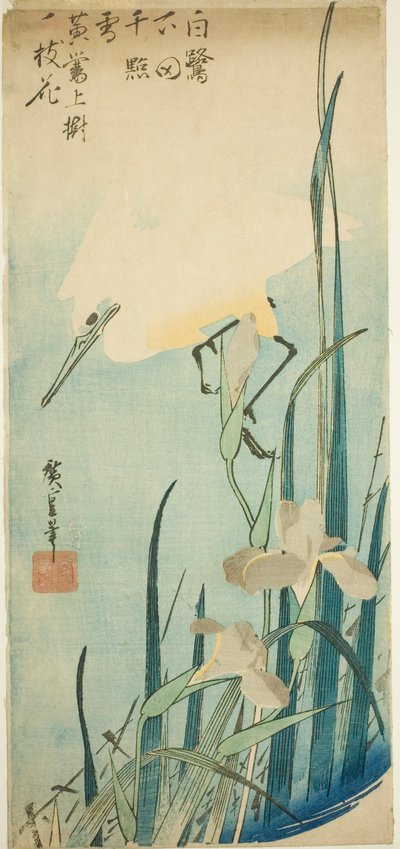 Bílá volavka a kosatec od Utagawa Hiroshige