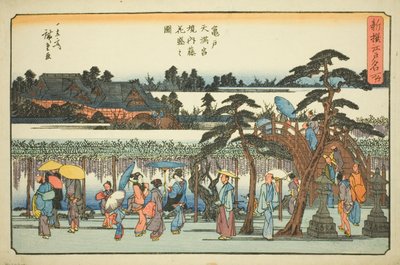 Wisteria v plném květu v okrscích svatyně Kameido Tenmangu (Kameido Tenmangu keidai fuji hanazakari no zu), ze série „Nově vybraná slavná místa v Edo (Shinsen Edo meisho)“ od Utagawa Hiroshige