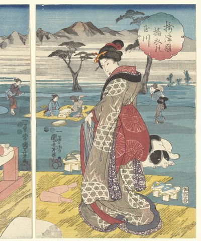Provinční sada Detoi Tamarier Inde Settsu Kuni no Tamagawa od Utagawa Kuniyoshi