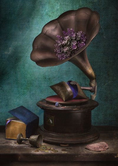Gramofon Moody Vintage od Vadim Kulinsky