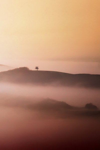 Lone Tree Zlatá mlha od Vanja Tajnsek