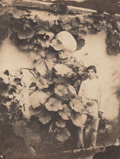 Chlapec s dýňovou révou, 1854. od Varin Frères
