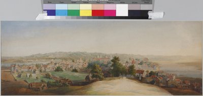 Pohled na Kowno, Sadovnikov, Vasilij Semjonovič (1800-1879). Akvarel na papíře, konec 40. let 19. století. Státní muzeum historie Petrohradu od Vasili Semenovich Sadovnikov