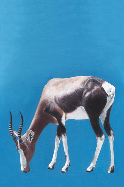 Blesbok pasoucí se na modrém pozadí od Viccy Wanliss