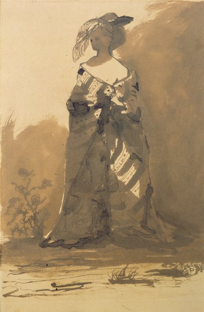 Žena ve svrchníku a opeřeném klobouku (pero a inkoust a perte na papíře) od Victor Hugo