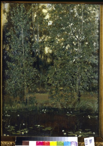 Rybník v Akhtyrka (nebo Okhtyrka, Ukrajina). Obraz Viktor Michajlovič Vasněcov (1848-1926), olej na plátně od Victor Mikhailovich Vasnetsov