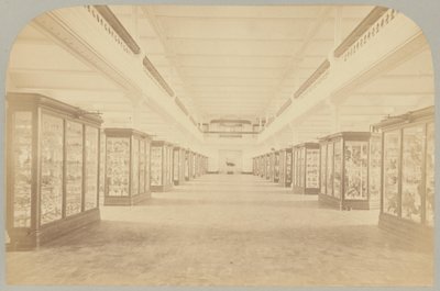 Pl. III. Hlavní příběh: Ptáci od Victor Prevost, Gaston L. Feuardent and Co., New York