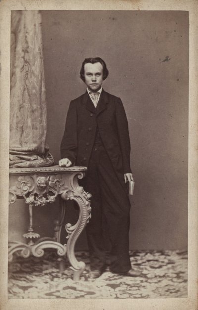 Portrét skladatele Antona Rubinsteina 1829-1894. od Vienna . Photo studio Franz Schultz