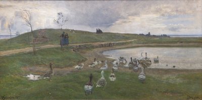 Husy u jezera. Proti drsnému počasí. Přetáhněte ucho od Viggo Johansen