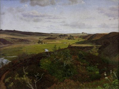 Dollerup Hills poblíž Haldu od Vilhelm Kyhn